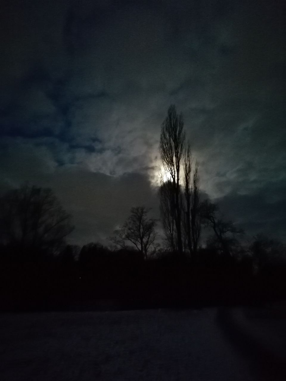 Park Mond und Schnee.jpg